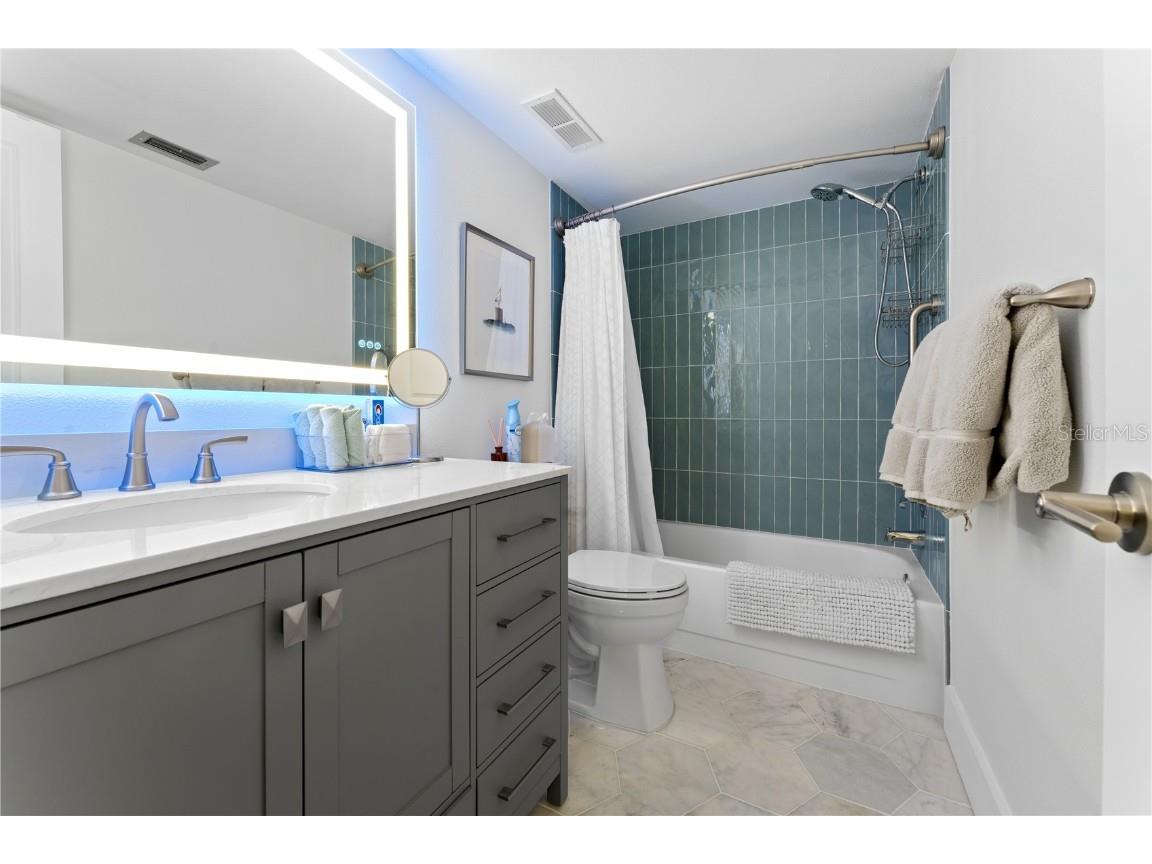 6287 Bahia Del Mar Circle #312 Saint Petersburg FL 33715 U8243779 image32