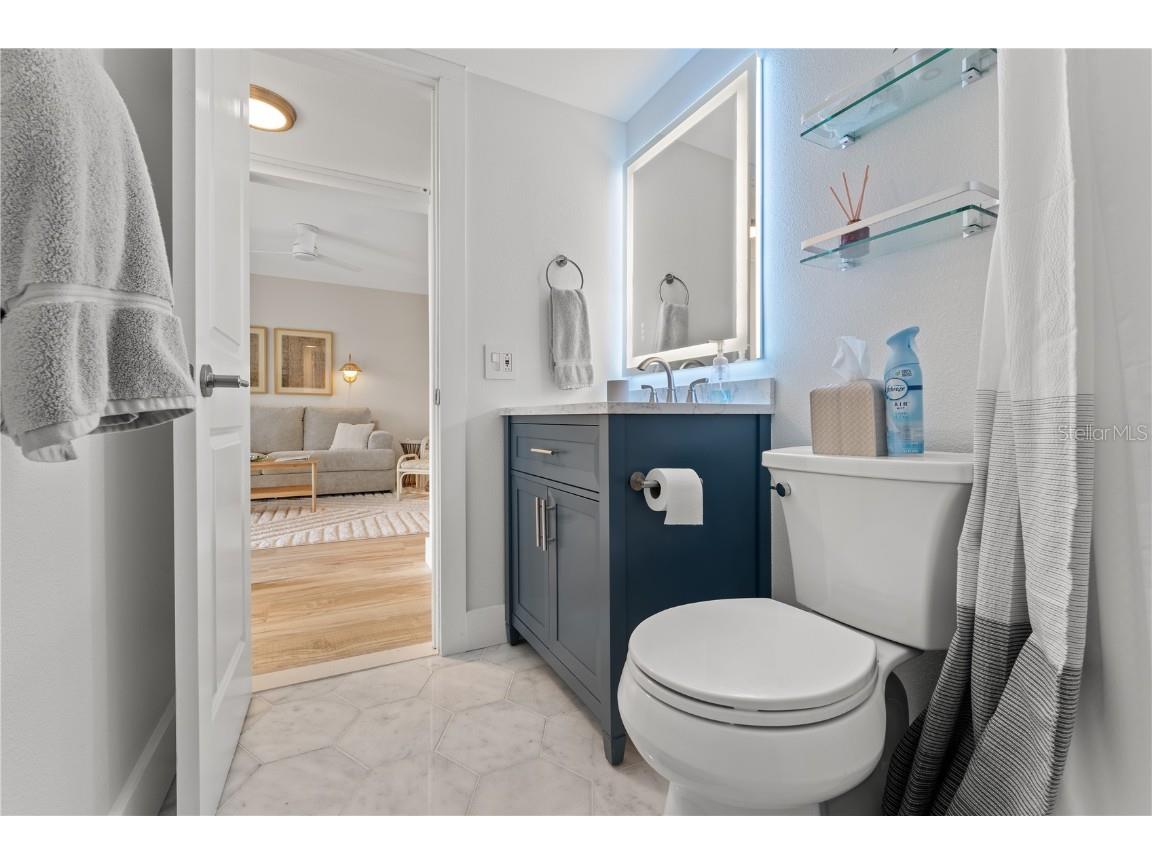 6287 Bahia Del Mar Circle #312 Saint Petersburg FL 33715 U8243779 image34