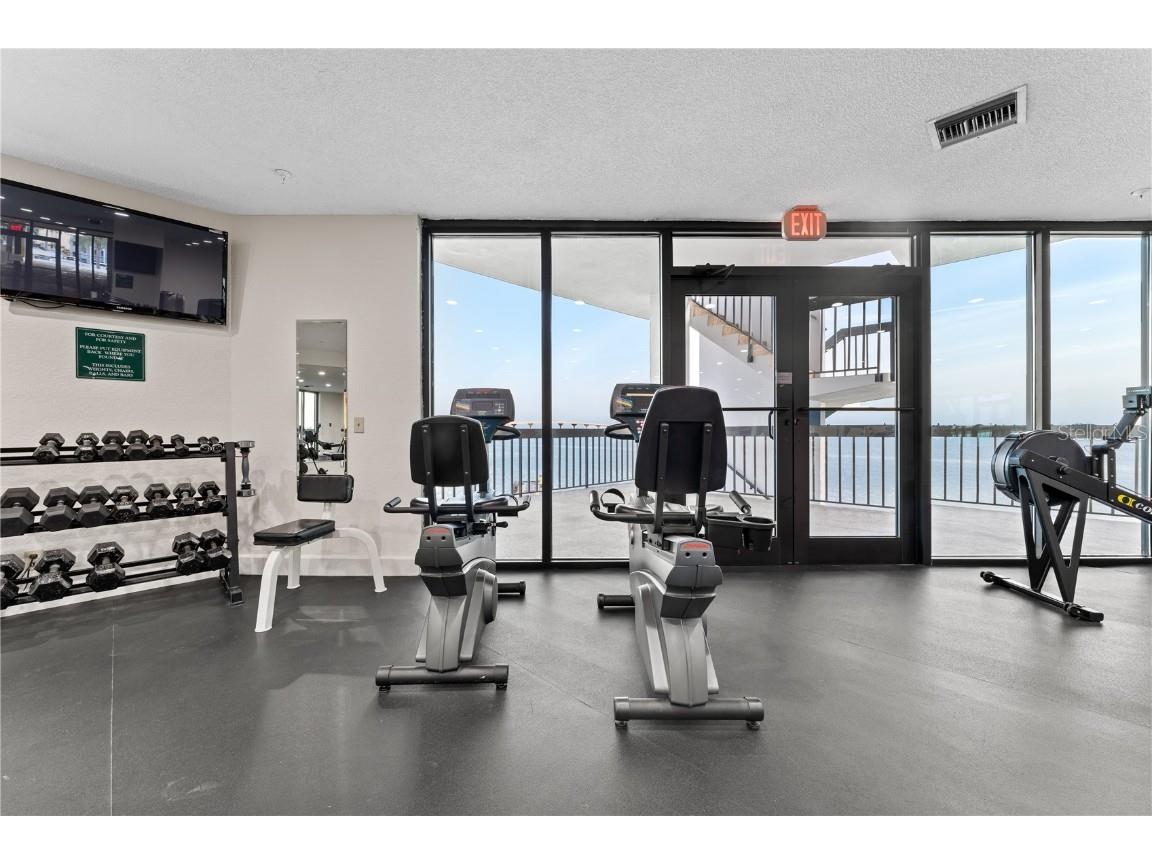 6287 Bahia Del Mar Circle #312 Saint Petersburg FL 33715 U8243779 image44