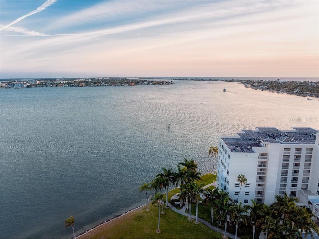 6287 Bahia Del Mar Circle #312 Saint Petersburg FL 33715 U8243779 image46