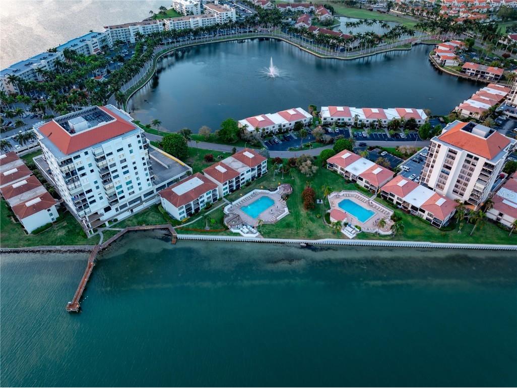 6287 Bahia Del Mar Circle #312 Saint Petersburg FL 33715 U8243779 image47