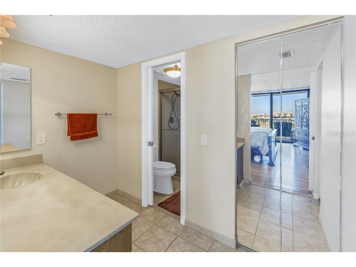 6287 Bahia Del Mar Circle #603 Saint Petersburg FL 33715 TB8451325 image20