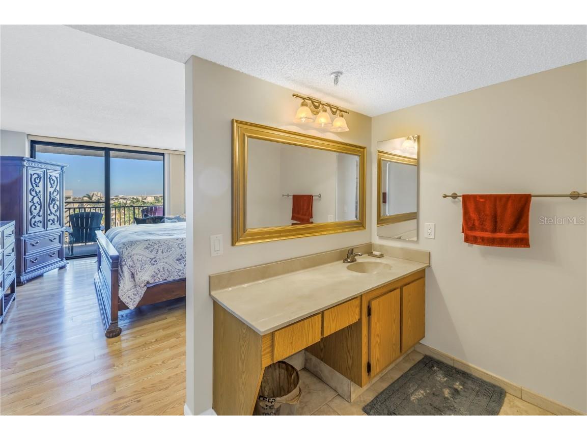 6287 Bahia Del Mar Circle #603 Saint Petersburg FL 33715 TB8451325 image21