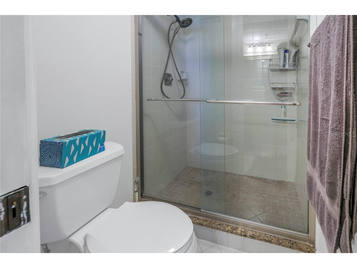 6287 Bahia Del Mar Circle #603 Saint Petersburg FL 33715 TB8451325 image22