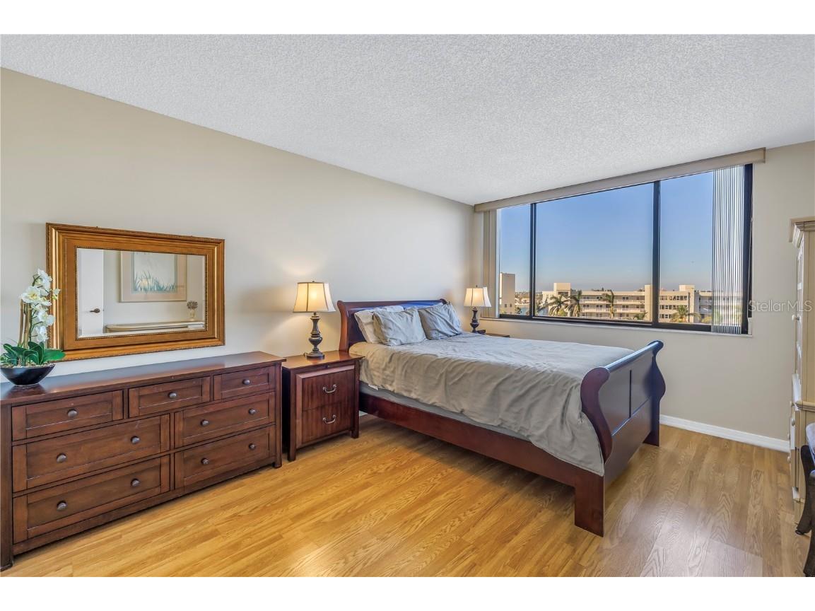 6287 Bahia Del Mar Circle #603 Saint Petersburg FL 33715 TB8451325 image23