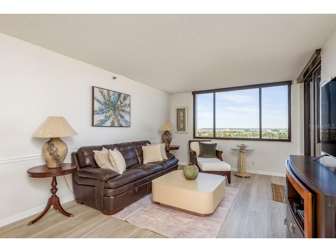 6287 Bahia Del Mar Circle #905 Tierra Verde FL 33715 TB8426480 image11