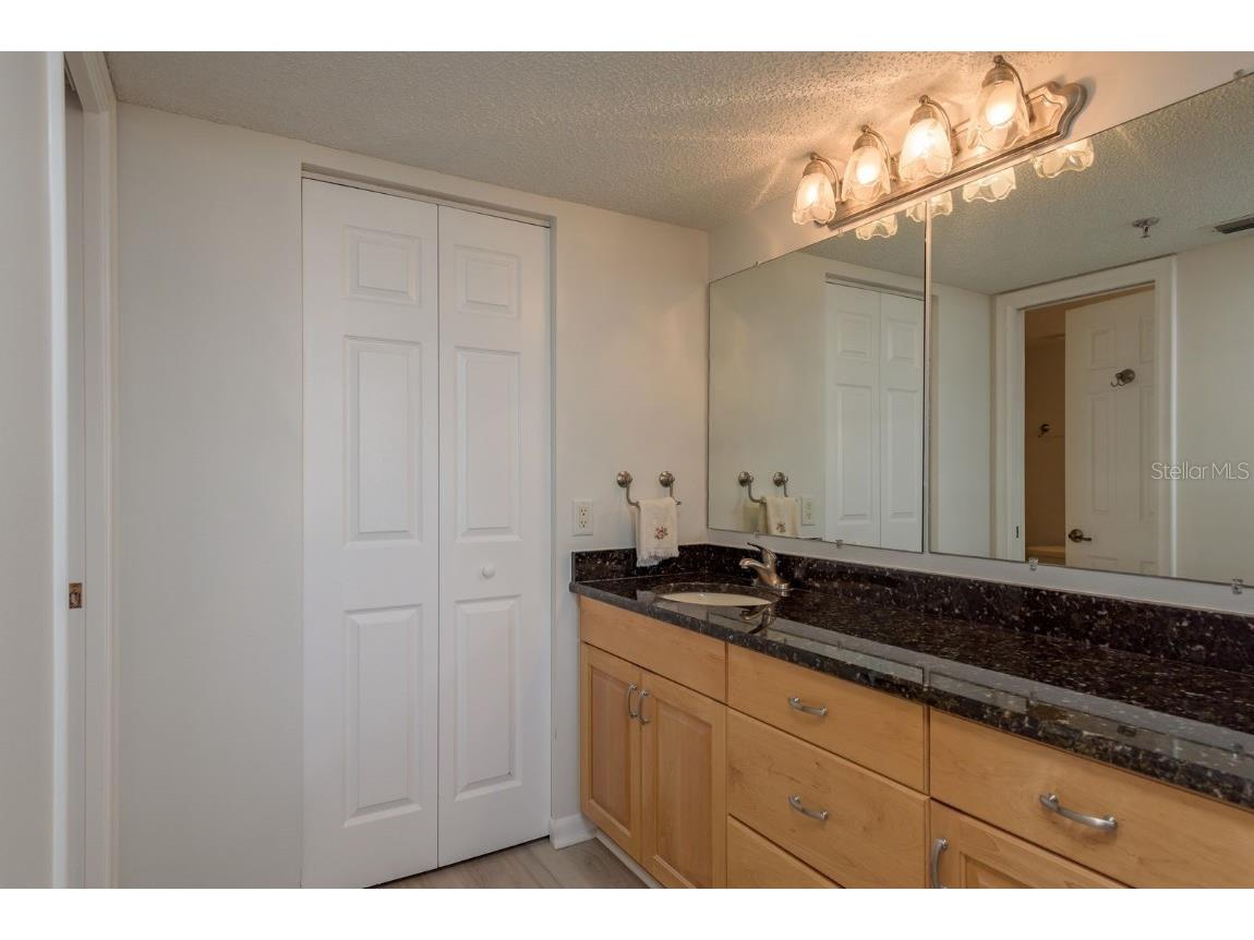 6287 Bahia Del Mar Circle #905 Tierra Verde FL 33715 TB8426480 image23