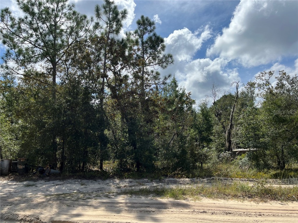 6287 Drake Avenue Keystone Heights FL 32656 OK221948 image1