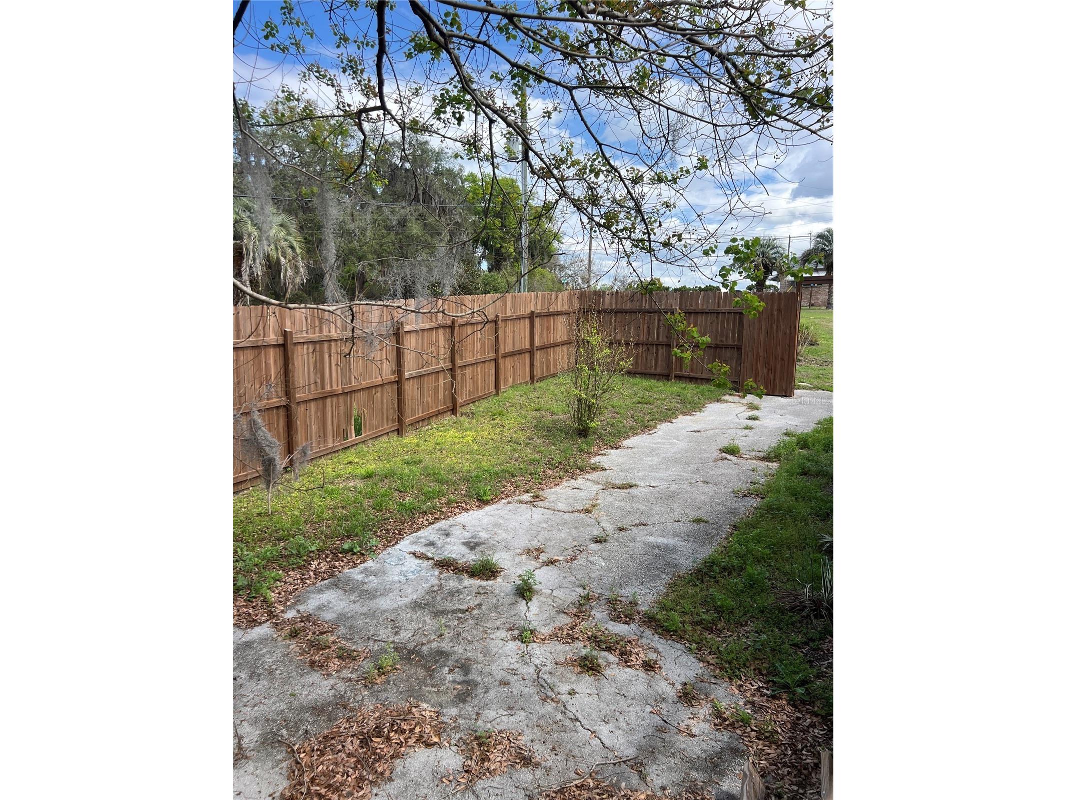 6287 Magnolia Street Keystone Heights FL 32656 - LAKE HUTCHINSON GC538554 image5