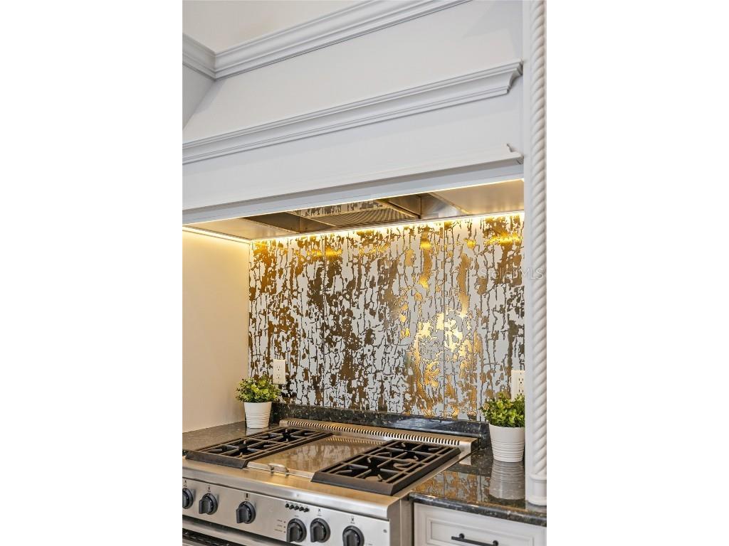 6288 Blakeford Drive Windermere FL 34786 O6361679 image16