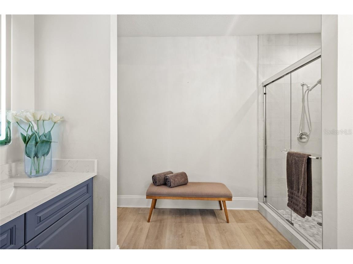 6288 Blakeford Drive Windermere FL 34786 O6361679 image45