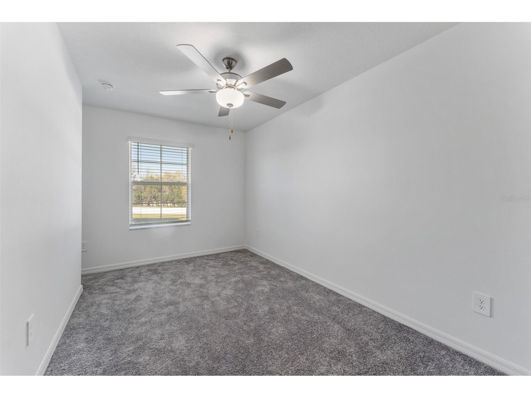 6288 Shiner Street Land O Lakes FL 34638 TB8493522 image21