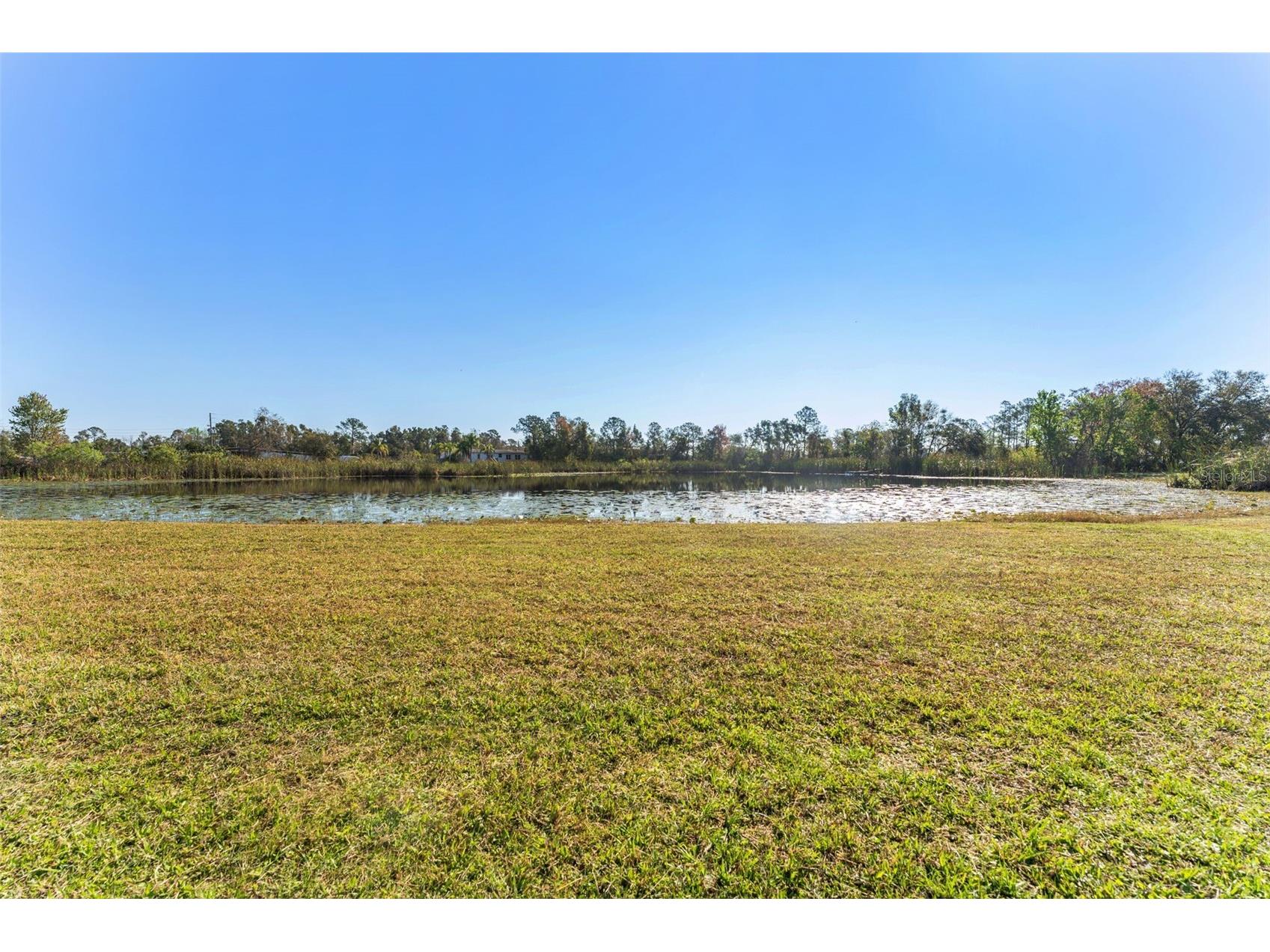 6288 Shiner Street Land O Lakes FL 34638 TB8493522 image33