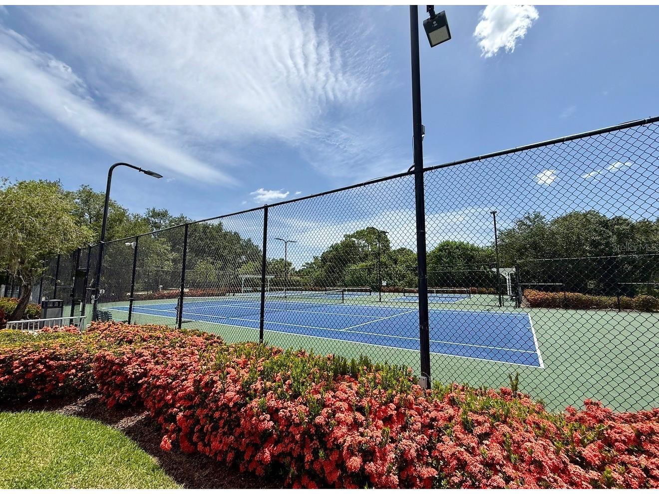 6288 Wingspan Way Bradenton FL 34203 A4699947 image33