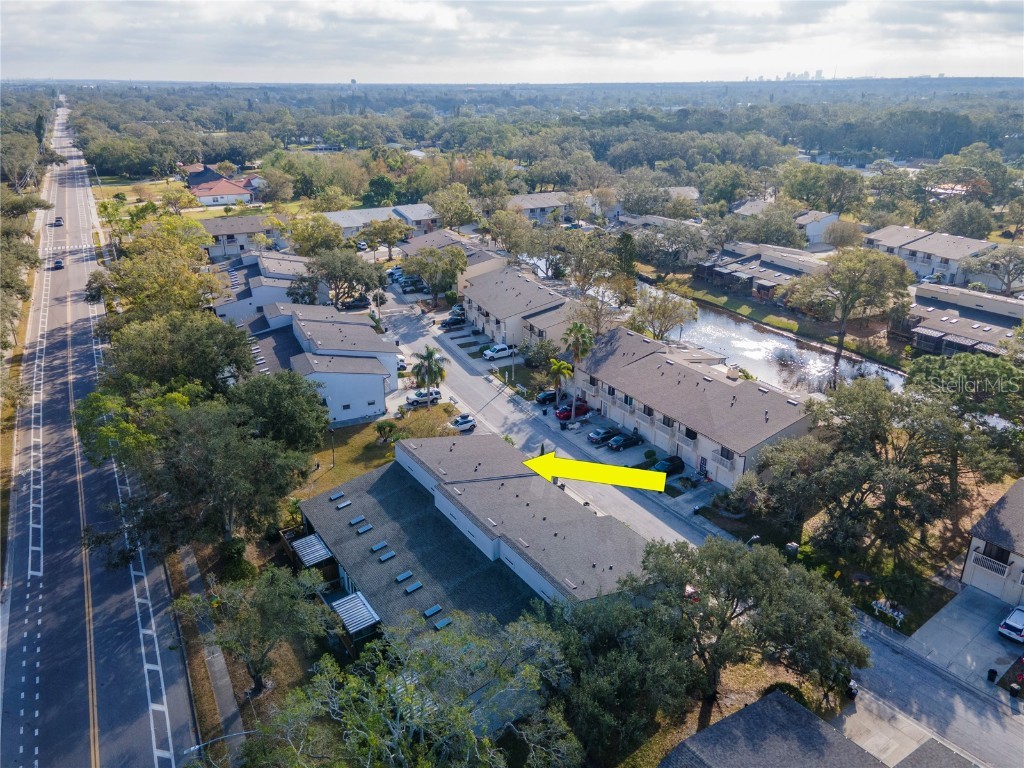 6289 93rd Terrace N #4302 Pinellas Park FL 33782 TB8330691 image44