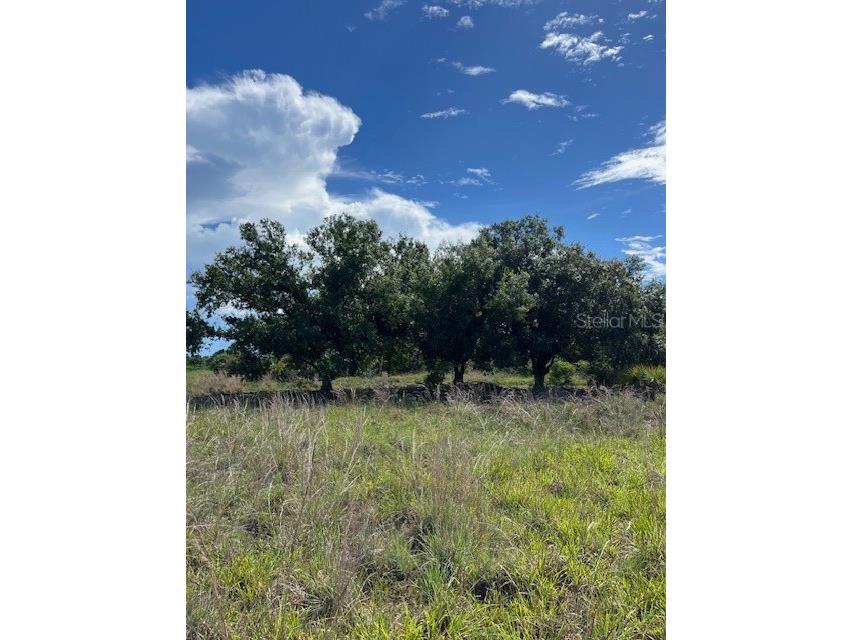 6289 Dewitt Street Punta Gorda FL 33982 A4619432 image1