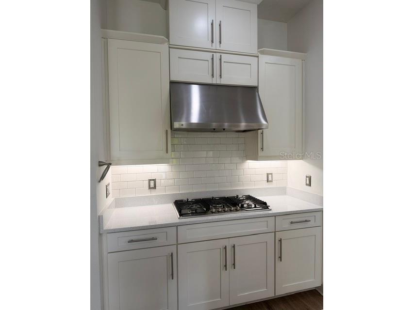 6289 Mesa Glen Bradenton FL 34203 TB8498251 image24