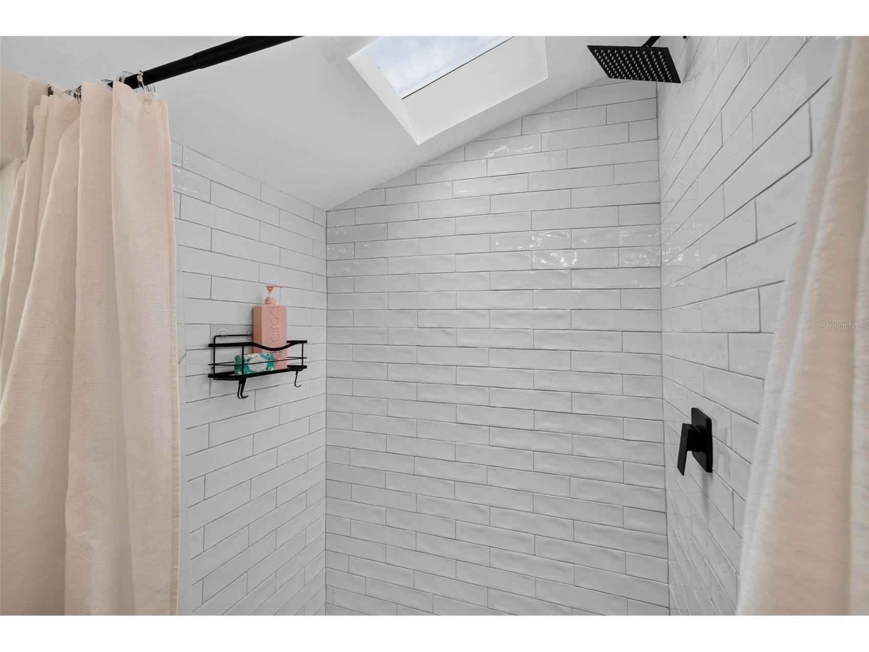 629 6th Avenue N Saint Petersburg FL 33701 TB8526927 image22