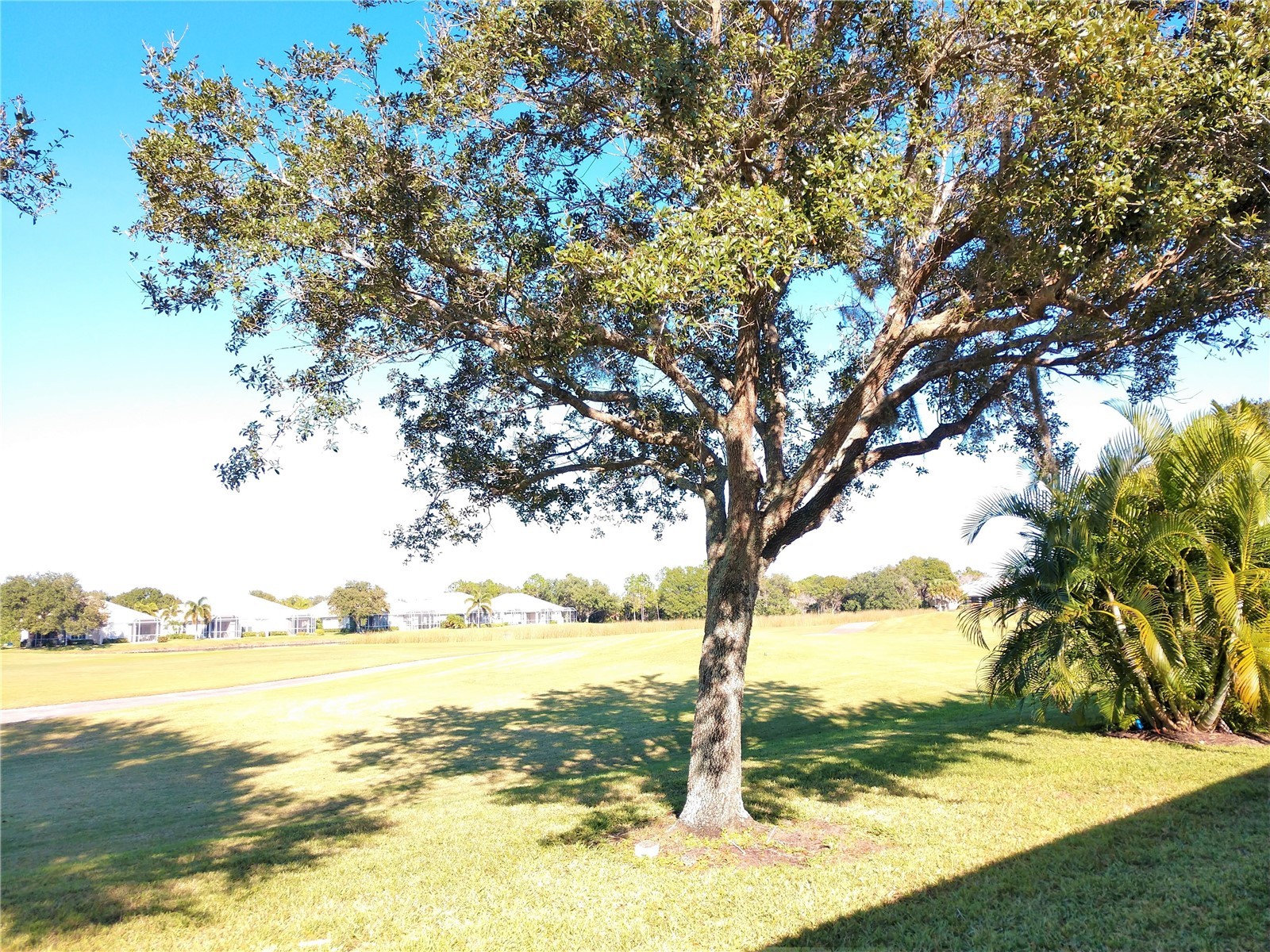 629 Back Nine Drive Venice FL 34285 N6143444 image11