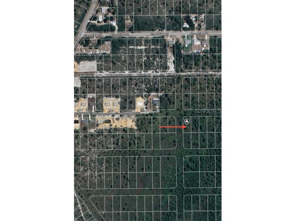 629 Gadwall Avenue Lake Placid FL 33852 O6303023 image2