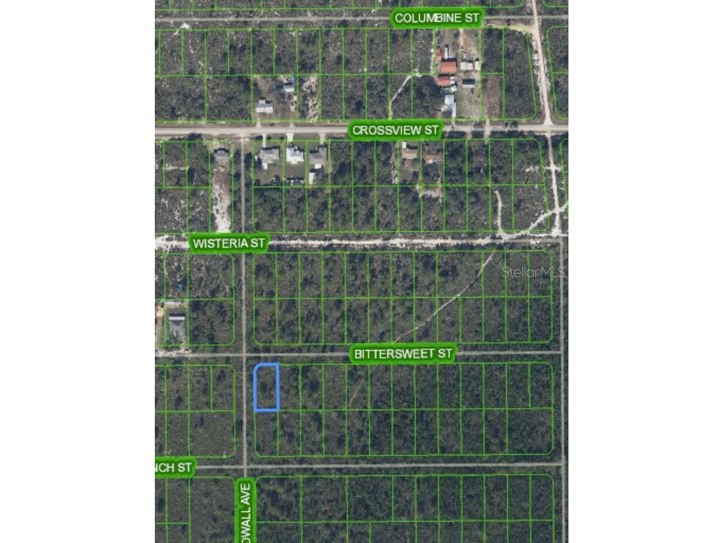 629 Gadwall Avenue Lake Placid FL 33852 O6303023 image4