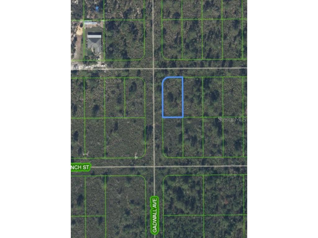 629 Gadwall Avenue Lake Placid FL 33852 O6303023 image5