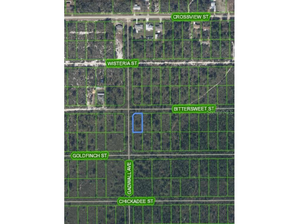 629 Gadwall Avenue Lake Placid FL 33852 O6303023 image6
