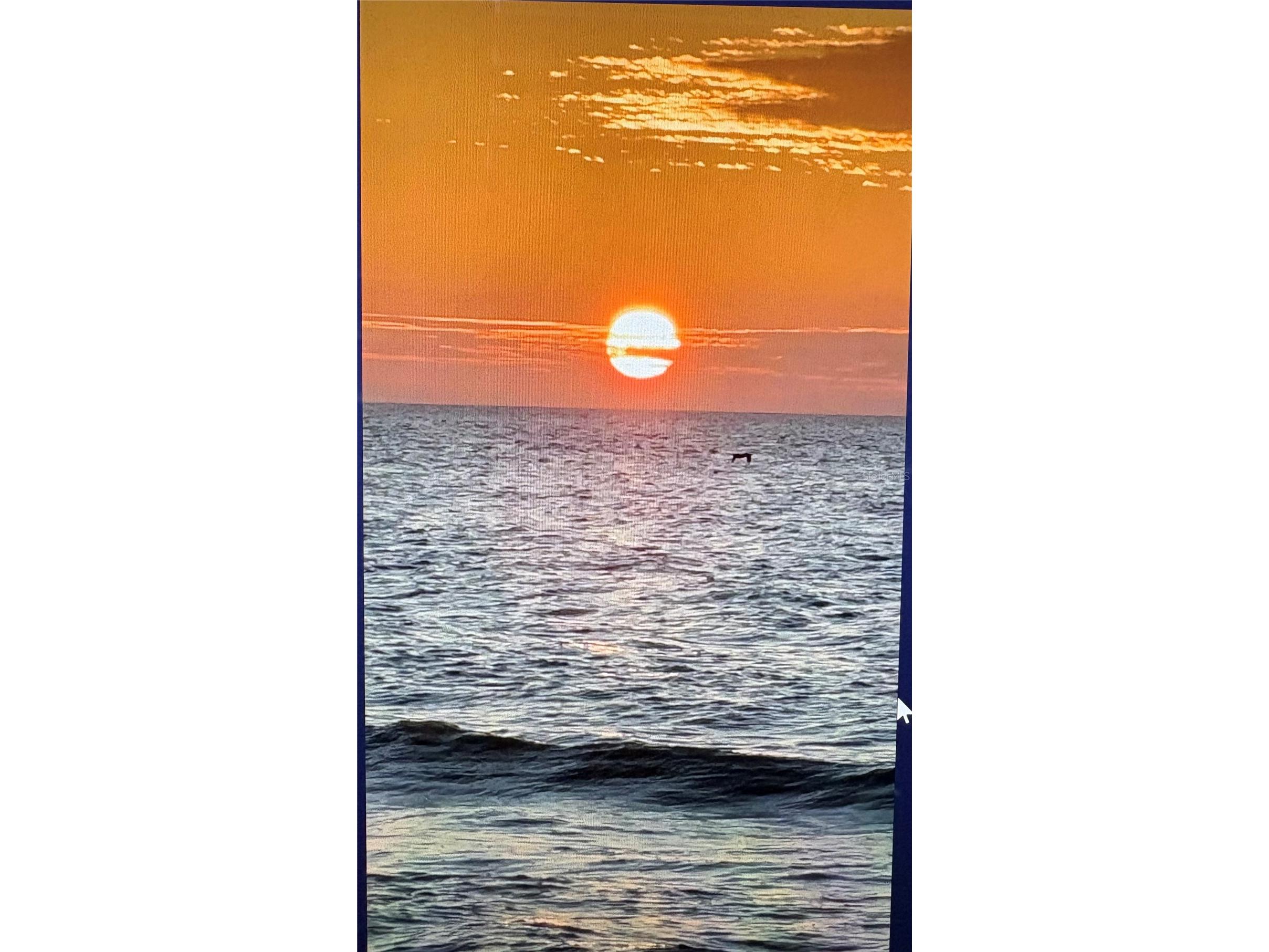 629 Garland Circle Indian Rocks Beach FL 33785 - GULF OF AMERICA TB8501406 image26