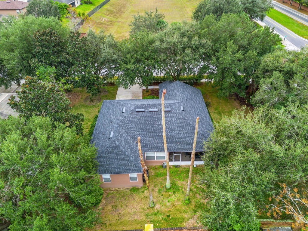 629 Mary Paula Drive Apopka FL 32712 O6371519 image63