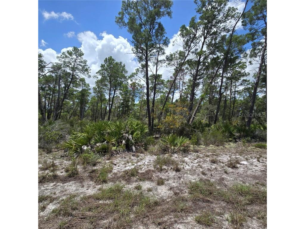 629 Parakeet Avenue Sebring FL 33872 O6343271 image4