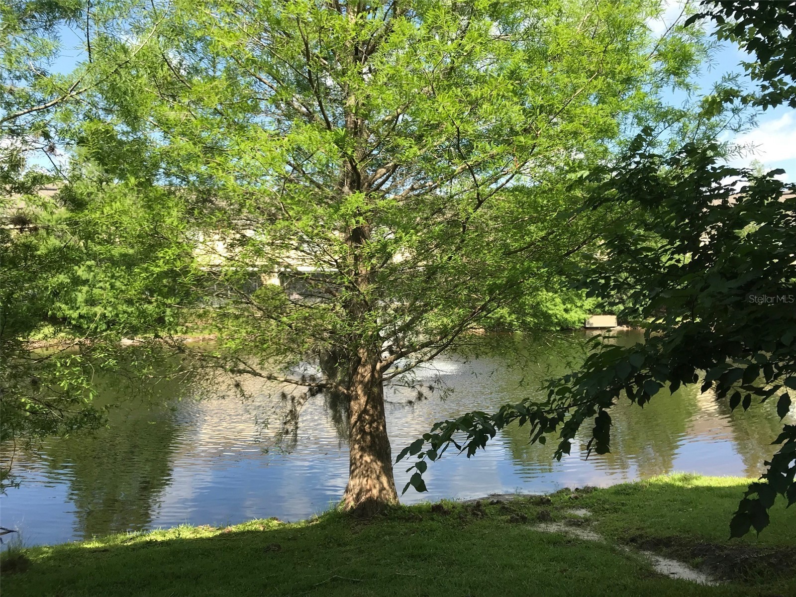 629 Pinebranch Circle Winter Springs FL 32708 O6371337 image27