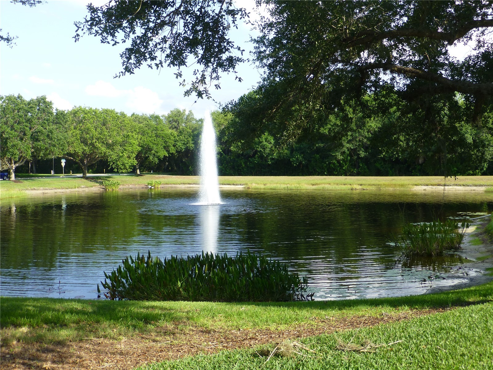 629 Rosemary Circle Bradenton FL 34212 A4678639 image73