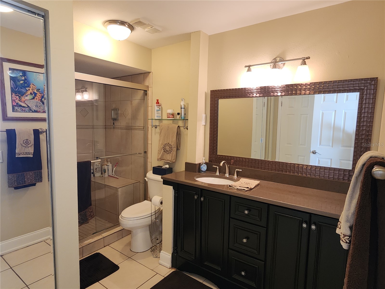 6290 Bahia Del Mar Circle #3 Saint Petersburg FL 33715 - LAKE BAHIA TB8455816 image12