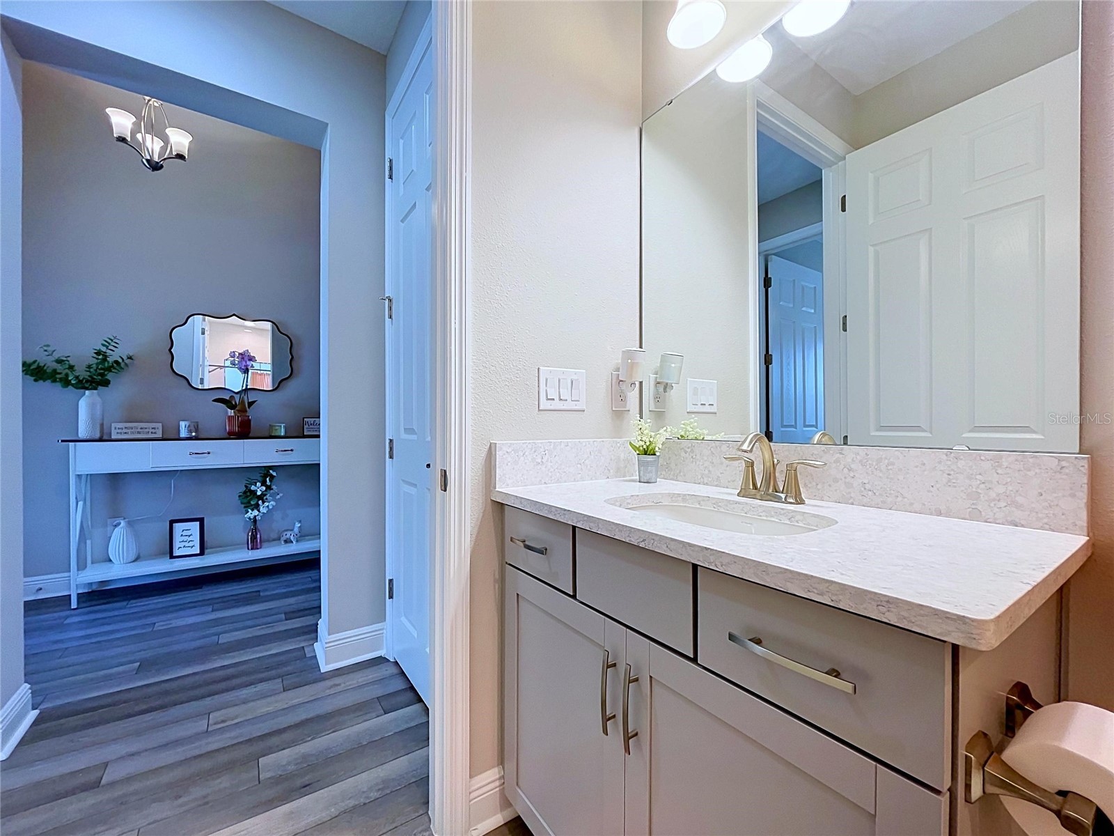 6290 Roadstead Court Apollo Beach FL 33572 TB8527696 image28