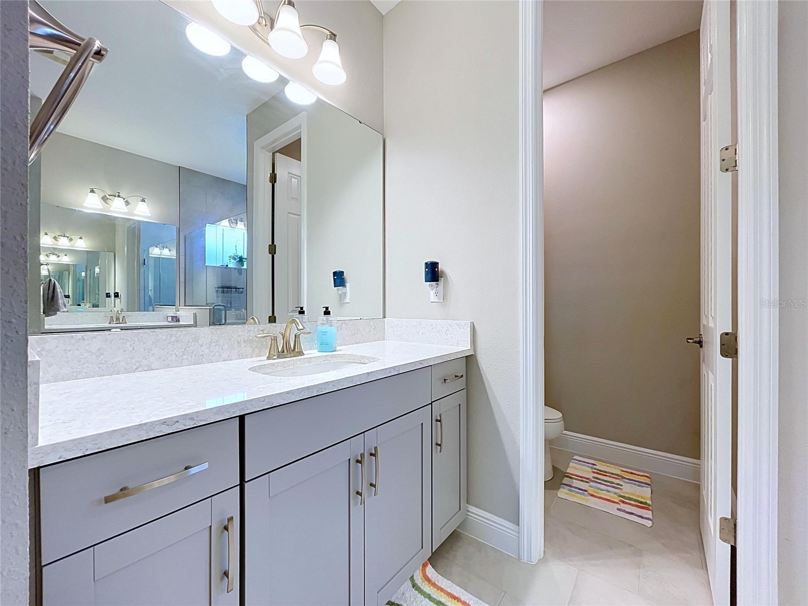 6290 Roadstead Court Apollo Beach FL 33572 TB8527696 image30