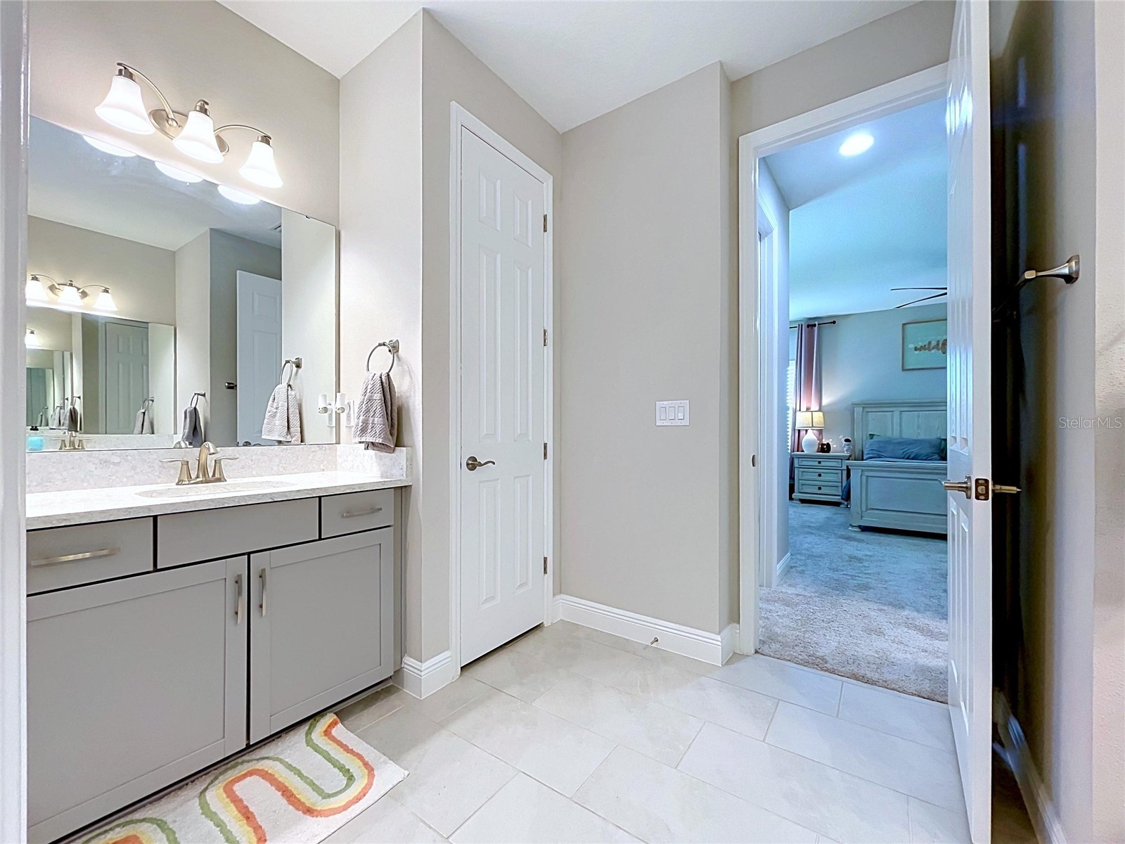 6290 Roadstead Court Apollo Beach FL 33572 TB8527696 image46