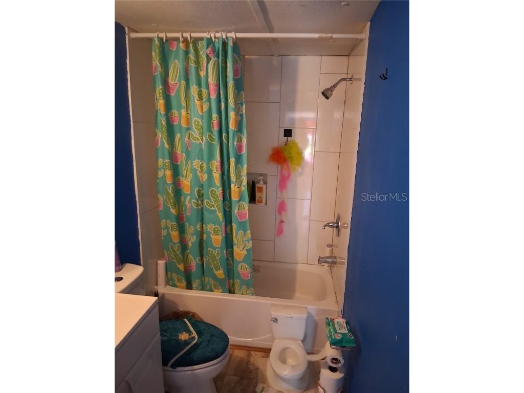 6290 SE 140th Place Summerfield FL 34491 S5136497 image10