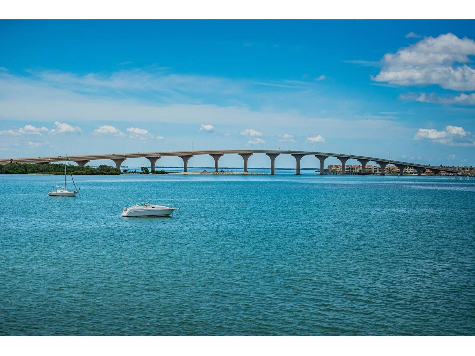 6291 Bahia Del Mar Circle #207 Saint Petersburg FL 33715 TB8474078 image1