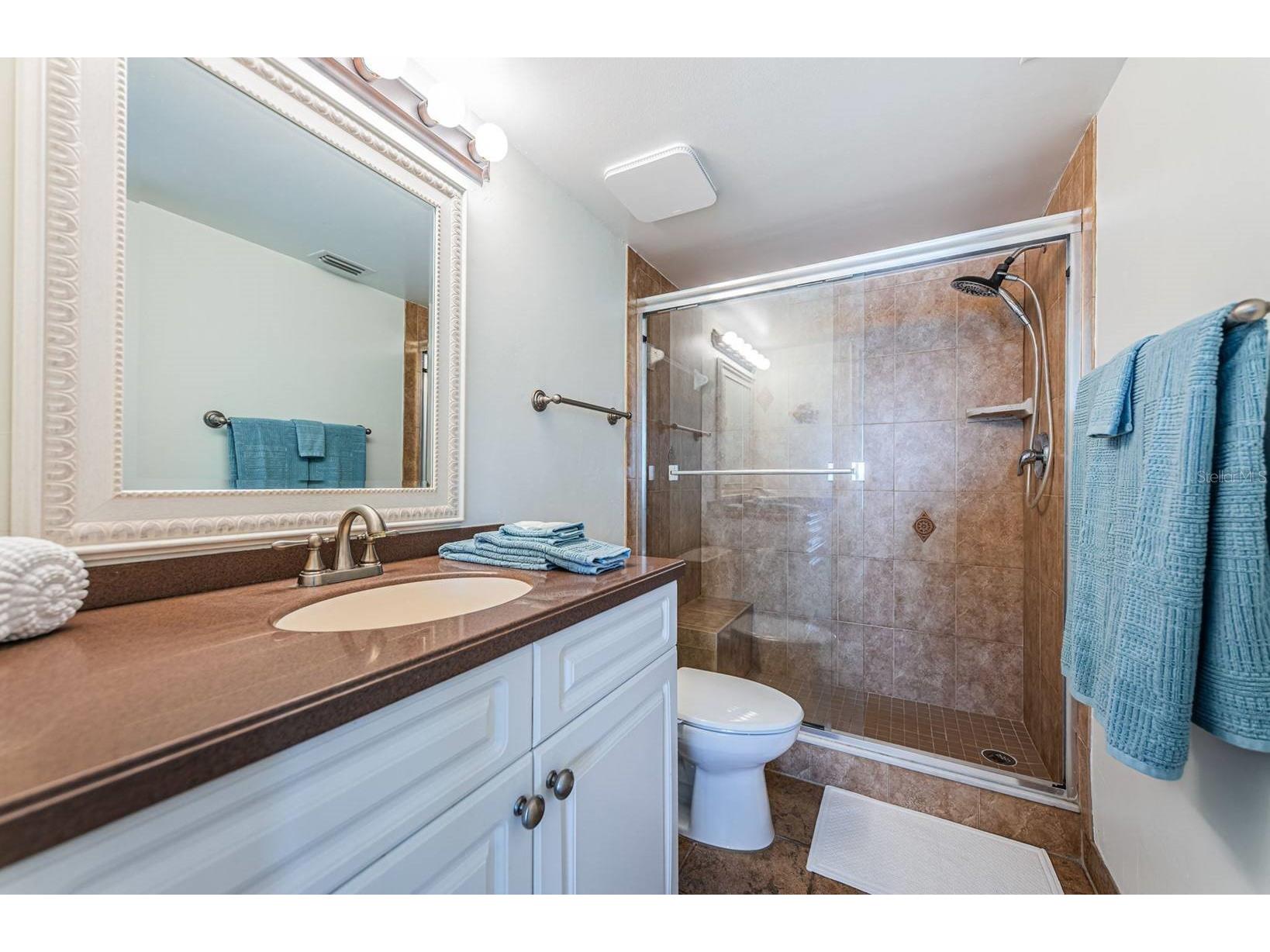 6291 Bahia Del Mar Circle #207 Saint Petersburg FL 33715 TB8474078 image15