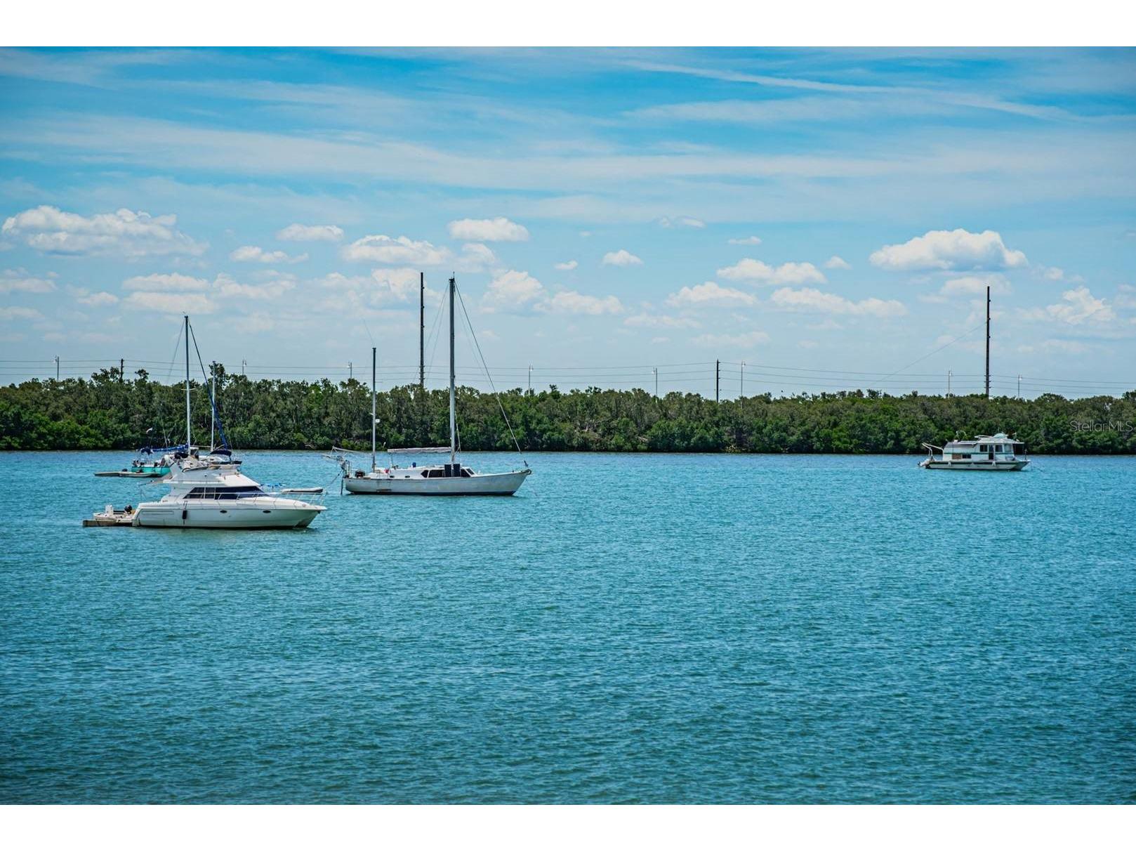 6291 Bahia Del Mar Circle #207 Saint Petersburg FL 33715 TB8474078 image18