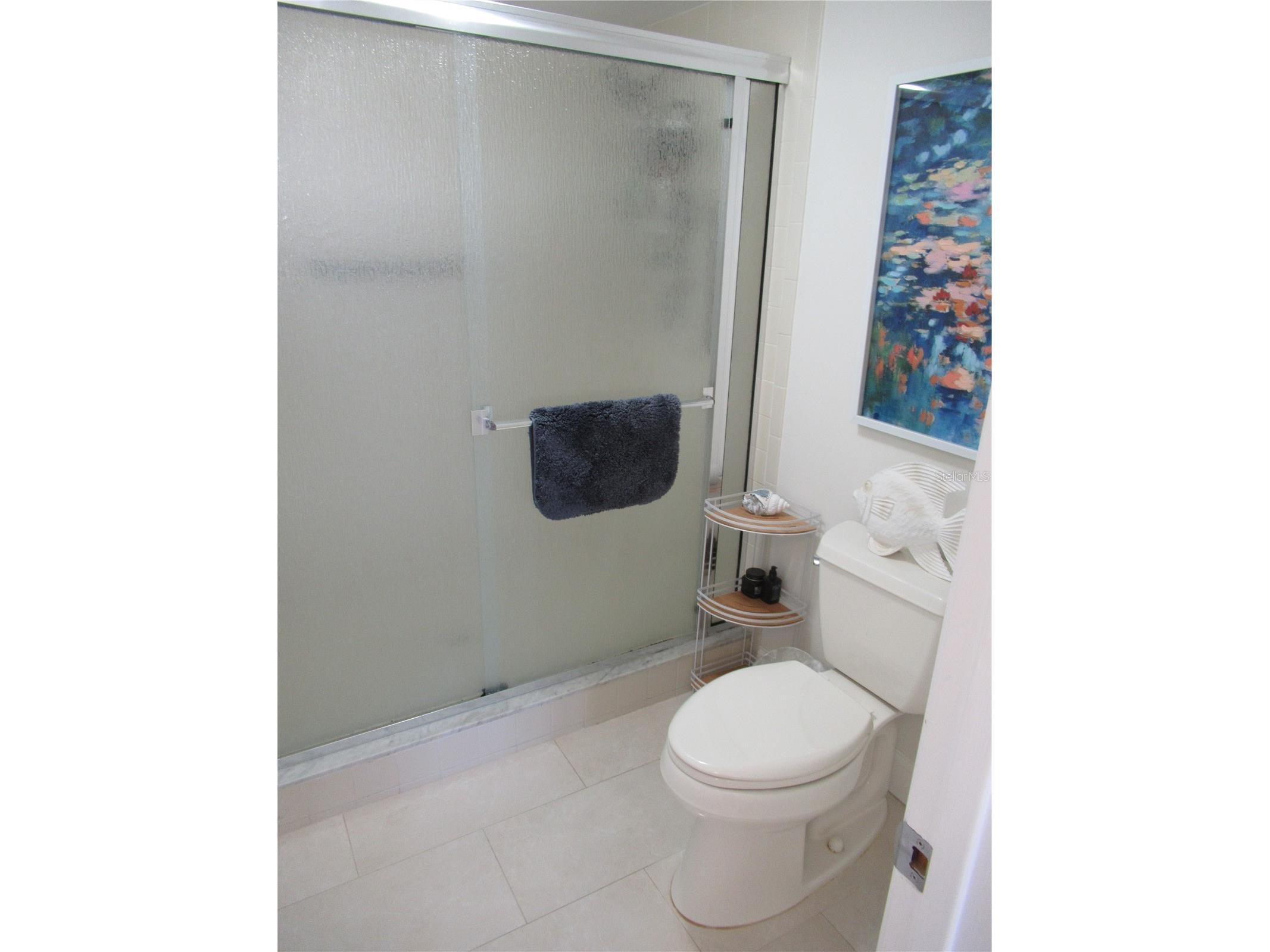 6291 Bahia Del Mar Circle #303 Saint Petersburg FL 33715 - TAMPA BAY TB8488869 image19