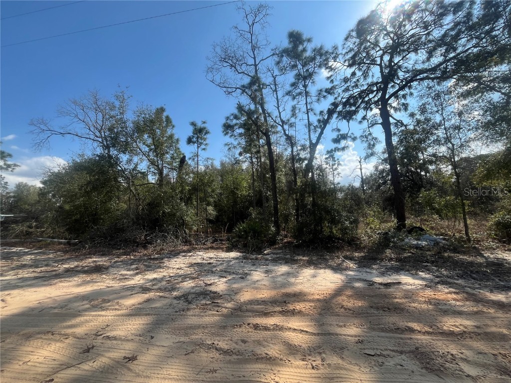 6291 Drake Avenue Keystone Heights FL 32656 OK224389 image1