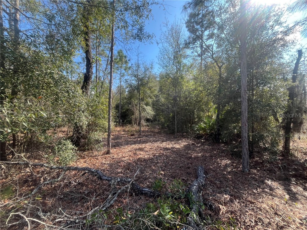 6291 Drake Avenue Keystone Heights FL 32656 OK224389 image3