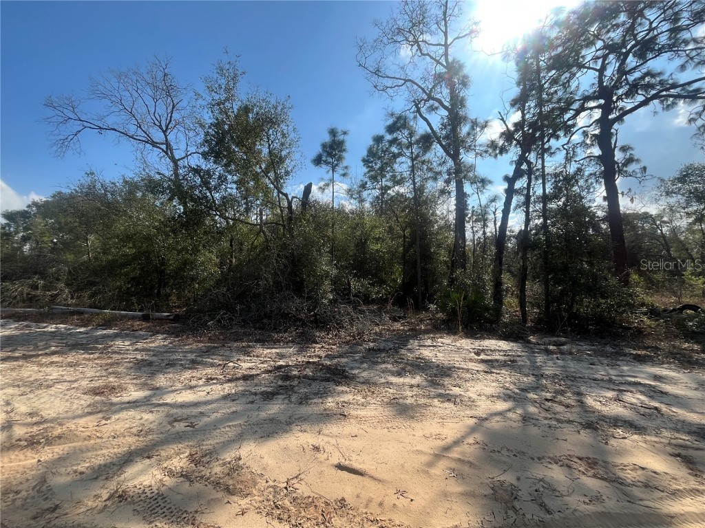 6291 Drake Avenue Keystone Heights FL 32656 OK224389 image5