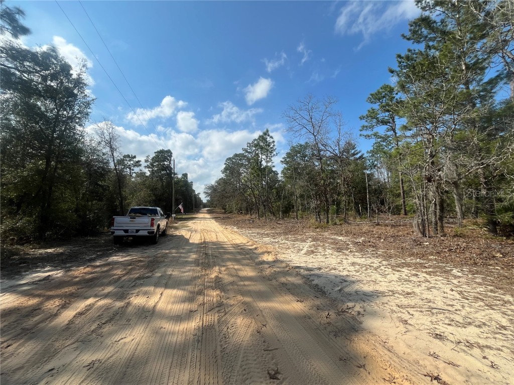 6291 Drake Avenue Keystone Heights FL 32656 OK224389 image6