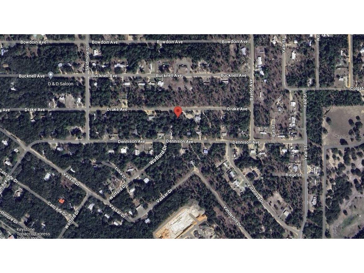 6291 Drake Avenue Keystone Heights FL 32656 OK224389 image7