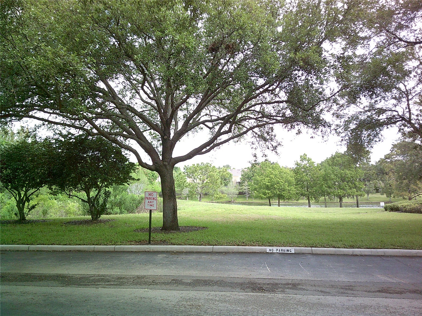 6292 Twain Street #107 Orlando FL 32835 O6398364 image40