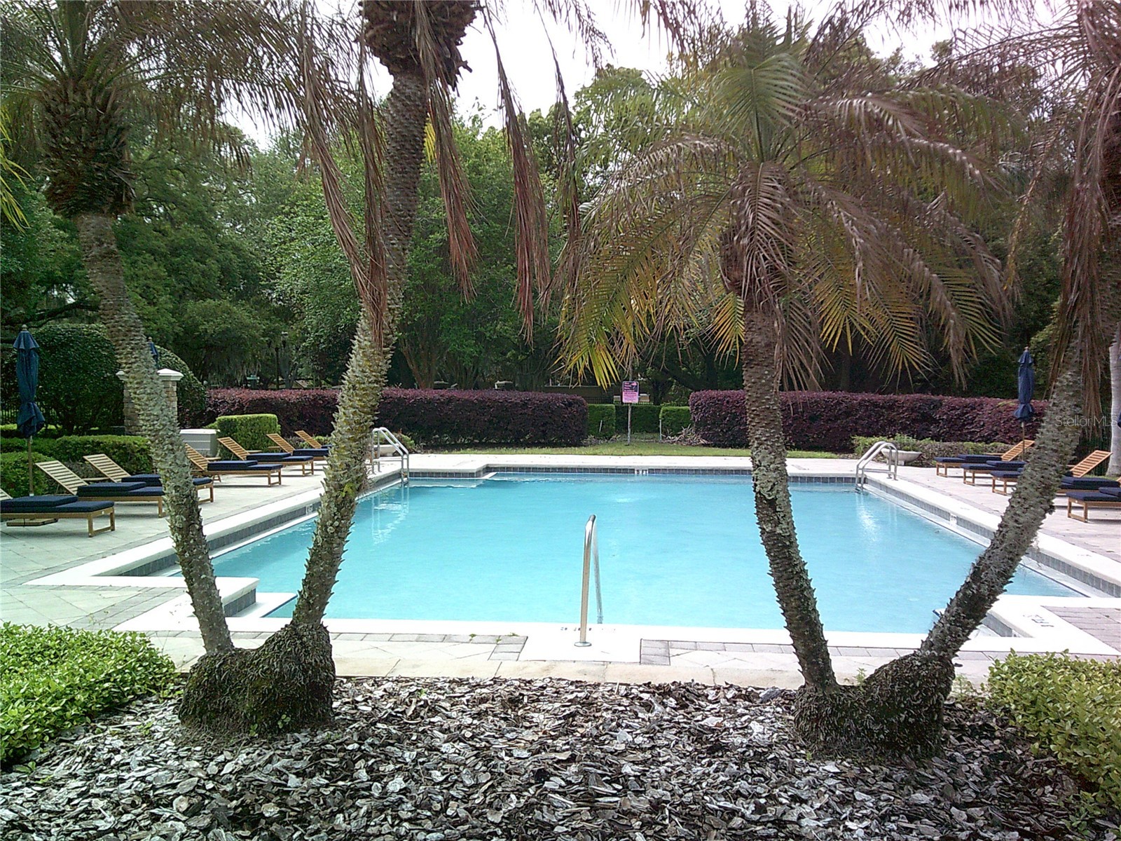 6292 Twain Street #107 Orlando FL 32835 O6398367 image6