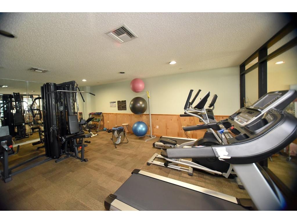 6294 Bahia Del Mar Circle #207 Saint Petersburg FL 33715 TB8427459 image33