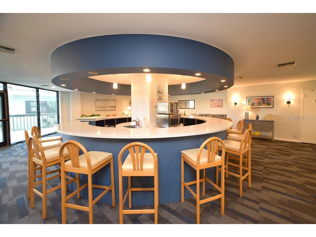 6294 Bahia Del Mar Circle #207 Saint Petersburg FL 33715 TB8427459 image50